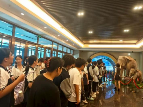 从“走出去”到“请进来”：一场联结成长与共享的“大手拉小手”