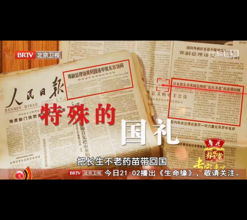 千年乌药续国礼：天台乌药亮相波黑前总统晚宴的文化传承