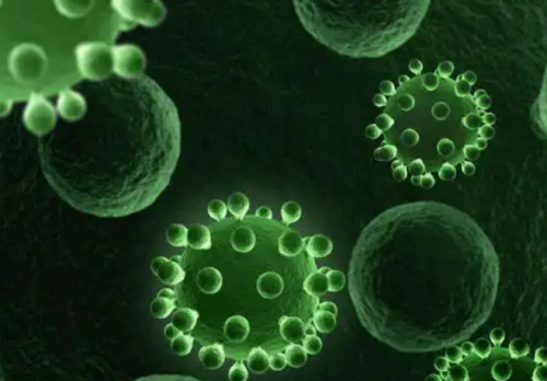 内衣裤洗衣机哪个牌子好？盘点十款高口碑畅销内衣裤洗衣机！