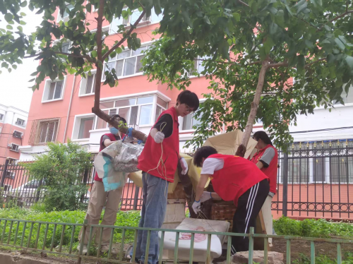 青春志愿行 共筑社区梦(图5)