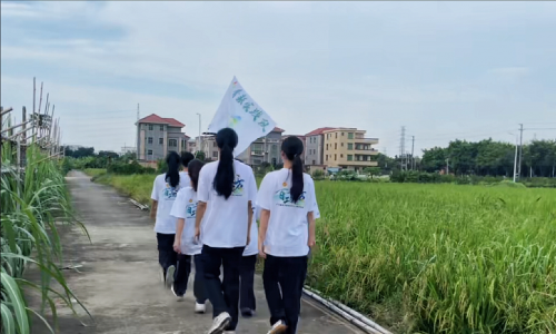 青耘实践队南沙马克行：沉浸式解锁水乡文化密码，让非遗在体验中“活”起来