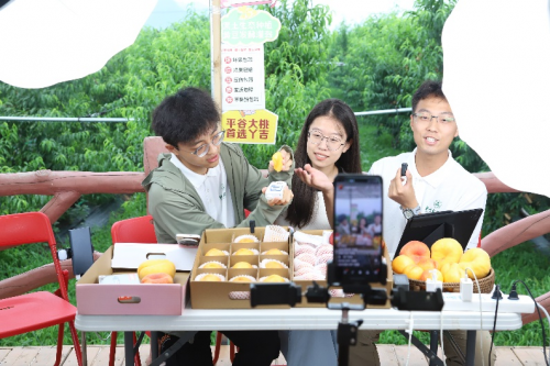 北林大学子青春助力乡村振兴，讲好一颗“桃”的故事
