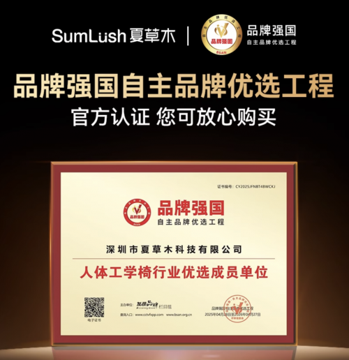 人体工学椅哪个牌子性价比高？人体工学椅前十名排行榜一篇看懂！