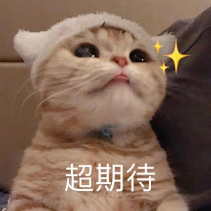 以消费者需求为导向，REMEE PLUS九针水光针头崭露头角