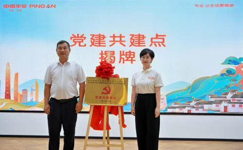 平安产险湖北分公司峒山村党建共建点揭牌专项资金支持农文旅升级
