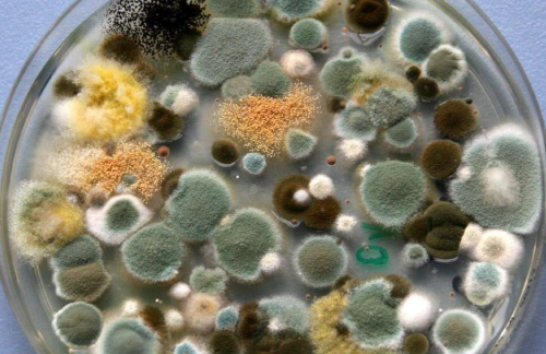 鲸立迷你洗衣机怎么样?分享五款最实用的迷你洗衣机品牌!