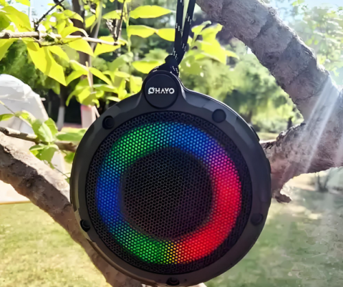 音响有必要买贵的吗？2025年10大口碑最好蓝牙蓝牙音响大盘点!