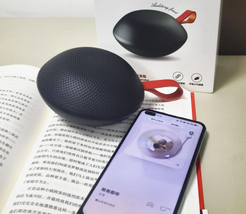 选蓝牙音箱看什么参数?2025高口碑蓝牙音箱抢先看,附超全选购指南