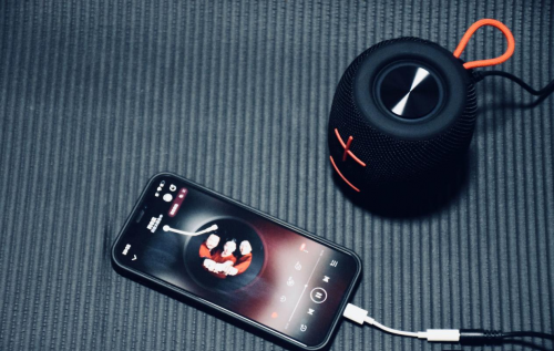 便携音箱哪个品牌音质最好?2025年精选10款推荐,品质出众音质更优