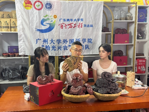 语通中外助振兴，青春建功“百千万”：广州大学外国语学院以语言之力绘就连樟新篇(图26)
