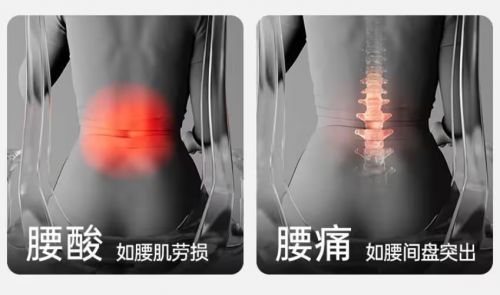 人体工学椅哪个牌子性价比高？人体工学椅口碑最好的产品速递！