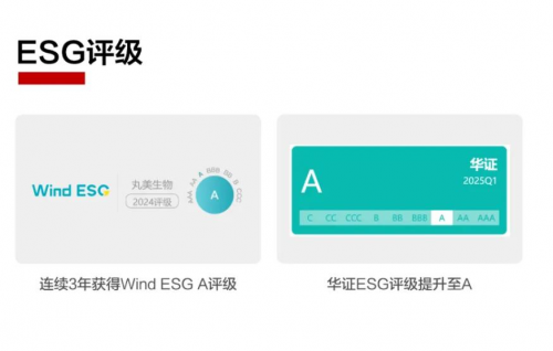 丸美23载蓄力进阶，从“眼”功扎实到“芯”力超群