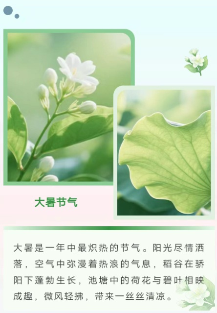 2025年非遗二十四节气茶道——大暑茶会在天津文庙举办