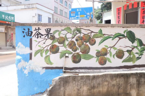 青春赋能乡村振兴，专业书写实践华章  ——广州新华学院南河星突击队下乡实践活动总结(图19)