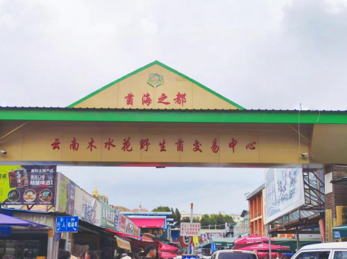 兴业银行昆明分行助力“云菌”产业蓬勃生长