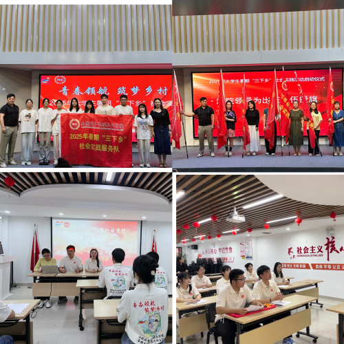 “非遗薪传映初心 青春聚力社区行”社会实践总结报告