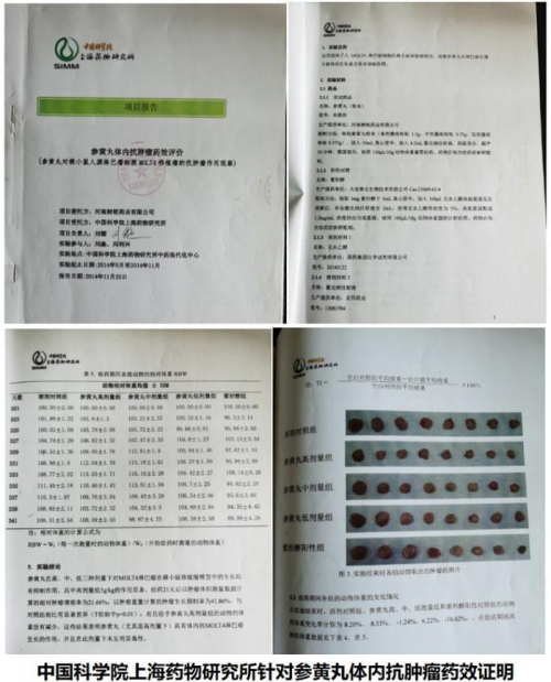 中国医师节致敬：许氏父子 以中药为刃 铸就抗癌传奇