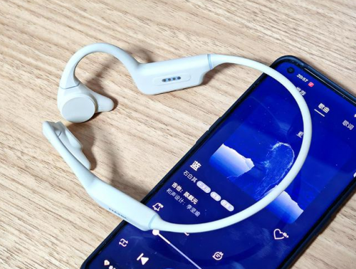 跑步耳机推荐什么牌子?2025 年跑步耳机品牌排行榜前十名及好用款式