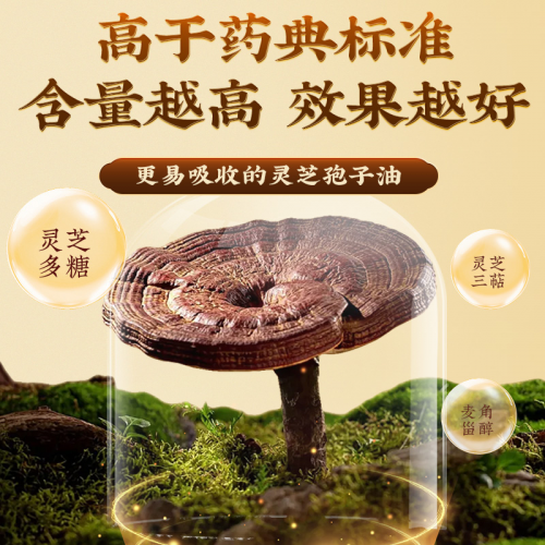 灵芝孢子油：从千年仙草中萃取的生命精华