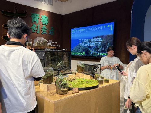 山海青耕，非遗结缘：山海青耕团苍南实践绽放青春风采