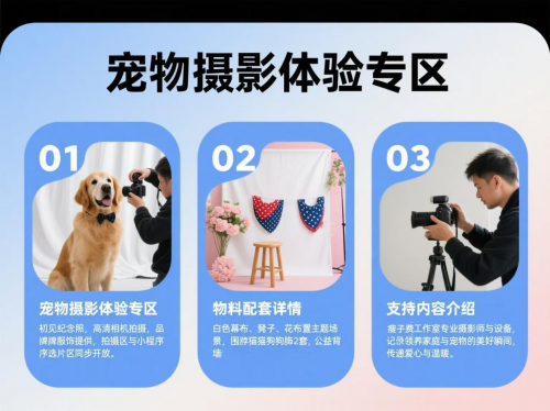 汇聚多方力量共筑公益生态圈，汪喵喵公益领养日活动即将开启
