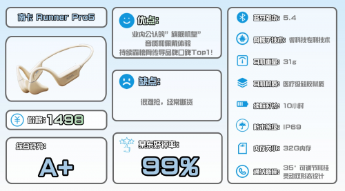 2025 年跑步耳机建议买哪款？十大口碑最好跑步耳机品牌及性价比推荐