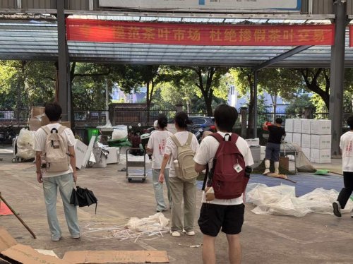 青春赋能实践标准助力振兴——中国计量大学质标学子探寻松阳县茶产业振兴可行路径(图2)