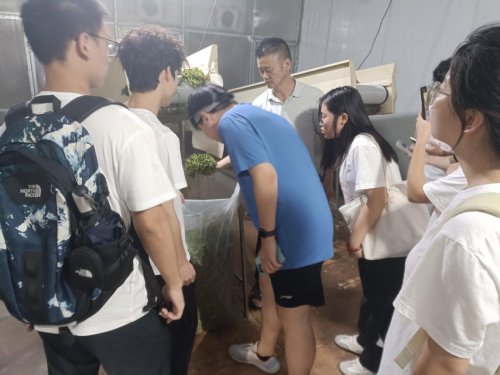 青春赋能实践标准助力振兴——中国计量大学质标学子探寻松阳县茶产业振兴可行路径(图3)