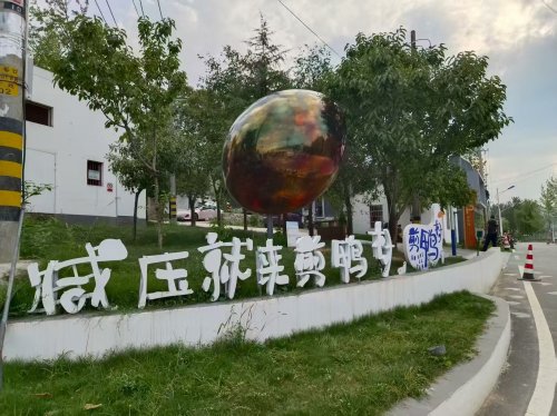 西北农林科技大学学子探访西安剪鸭村  ——解码乡村振兴新路径