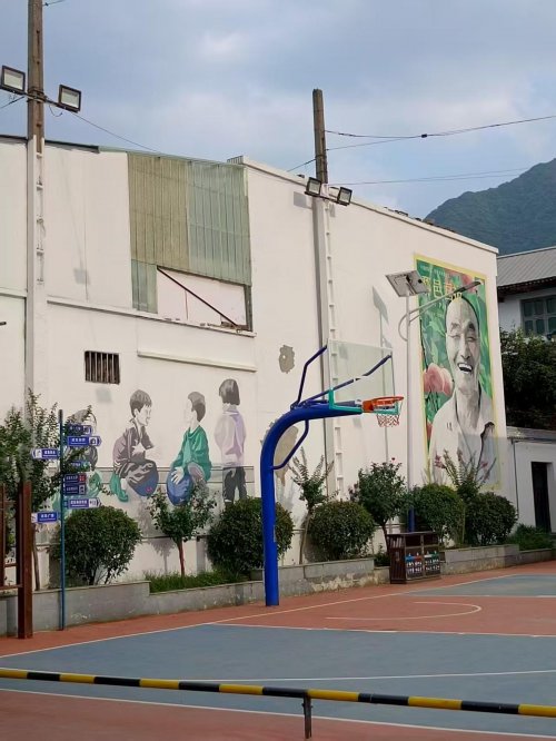西北农林科技大学学子探访西安剪鸭村  ——解码乡村振兴新路径
