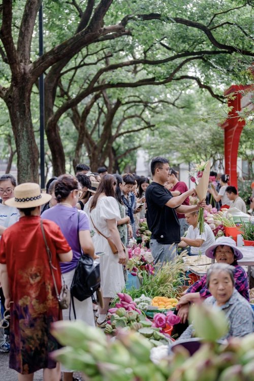 央视报道：苏州金龙海格蔚蓝公交“荷花专线”火出圈！