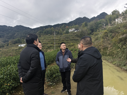 倾听来自大山深处的声音，让通信服务没有壁垒