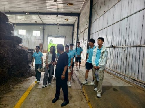 长安大学赴河南三门峡“崤函乡野振兴行·助农兴业青春力”暑期社会实践顺利开展(图14)