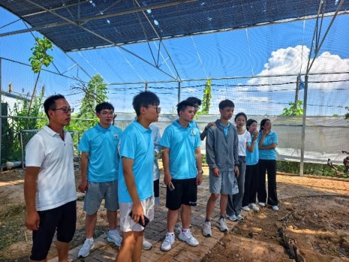 长安大学赴河南三门峡“崤函乡野振兴行·助农兴业青春力”暑期社会实践顺利开展(图6)