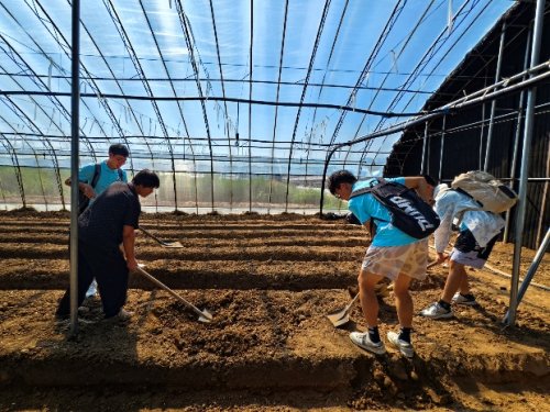 长安大学赴河南三门峡“崤函乡野振兴行·助农兴业青春力”暑期社会实践顺利开展(图7)