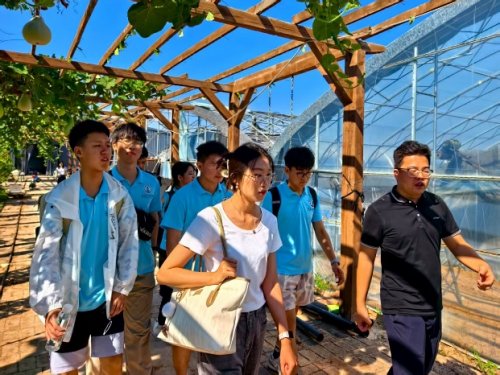 长安大学赴河南三门峡“崤函乡野振兴行·助农兴业青春力”暑期社会实践顺利开展(图8)