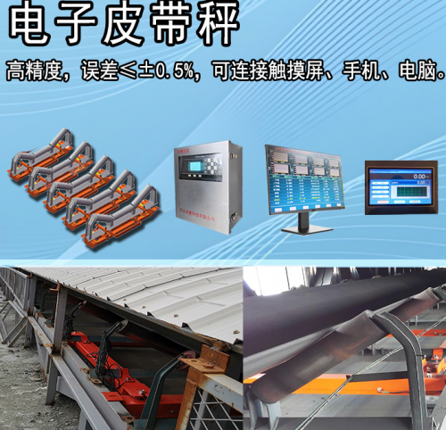 2025皮带称厂家TOP3权威榜单：技术实力与市场口碑全面解析