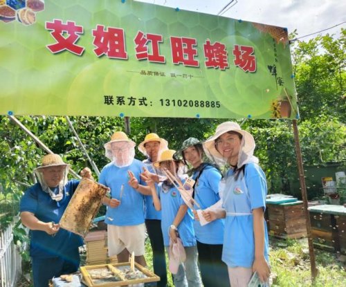 天津外国语大学“青春赴蓟，富农有计”路队——蜜润梨葡盈枝桠，青春逐梦富农途(图1)