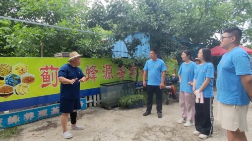 天津外国语大学“青春赴蓟，富农有计”路队——蜜润梨葡盈枝桠，青春逐梦富农途(图2)