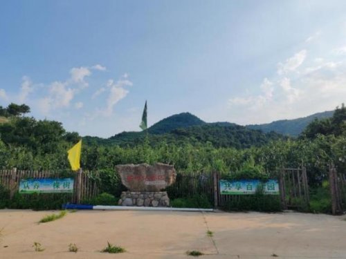 天津外国语大学“青春赴蓟，富农有计”路队——蜜润梨葡盈枝桠，青春逐梦富农途(图5)