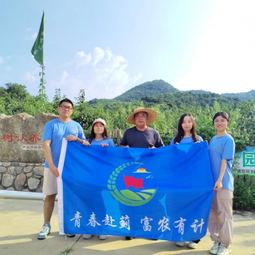 天津外国语大学“青春赴蓟，富农有计”路队——蜜润梨葡盈枝桠，青春逐梦富农途(图6)