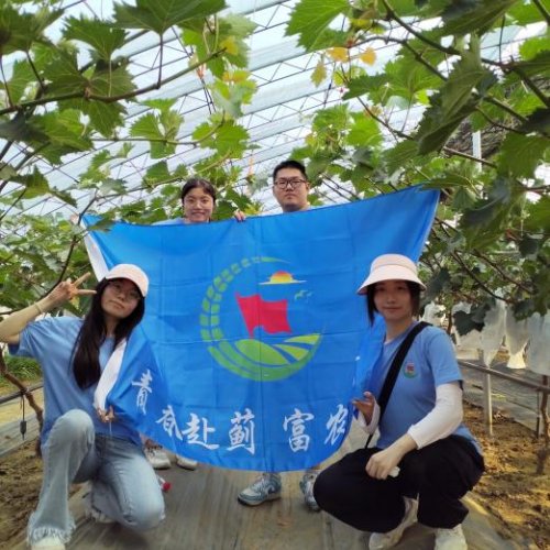 天津外国语大学“青春赴蓟，富农有计”路队——蜜润梨葡盈枝桠，青春逐梦富农途(图9)