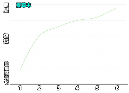 夏草木、西昊人体工学椅怎么样?多维度测评对决!