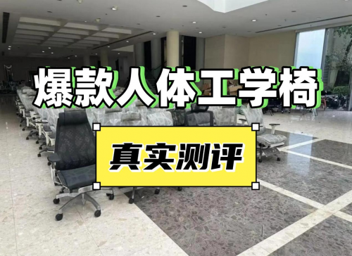 夏草木、网易严选、西昊人体工学椅可以选吗？如何选？三大爆款测评battle