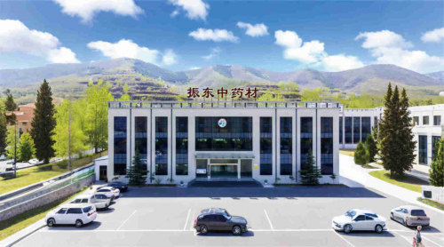 深耕 GAP 二十载！振东中药材打造山西道地药材样本