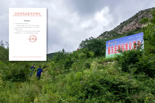 深耕 GAP 二十载！振东中药材打造山西道地药材样本