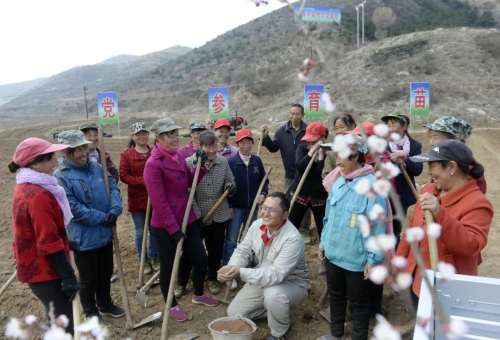 深耕 GAP 二十载！振东中药材打造山西道地药材样本