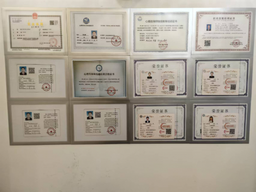 悟心心理咨询荣获 2025年度内蒙古首届《专业心理咨询服务之星》评选活动冠军第17张