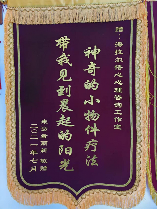 悟心心理咨询荣获 2025年度内蒙古首届《专业心理咨询服务之星》评选活动冠军第20张
