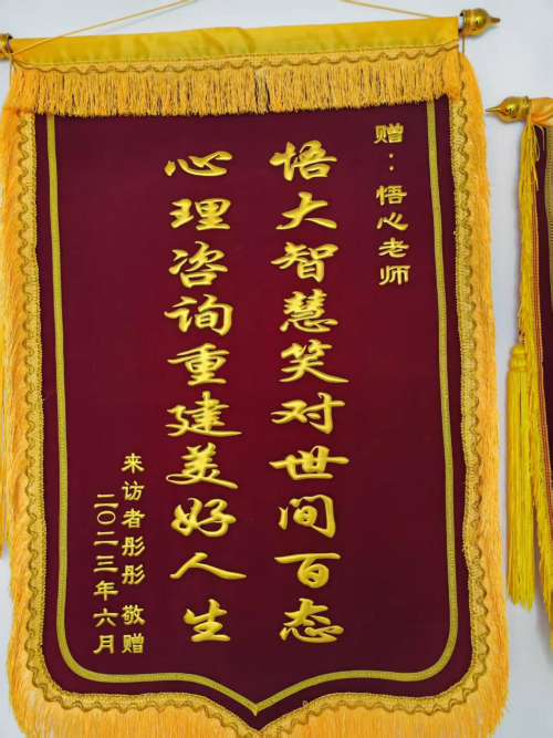 悟心心理咨询荣获 2025年度内蒙古首届《专业心理咨询服务之星》评选活动冠军第23张